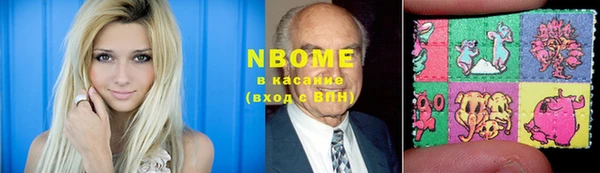 индика Михайлов