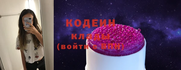 молекула духа Вяземский