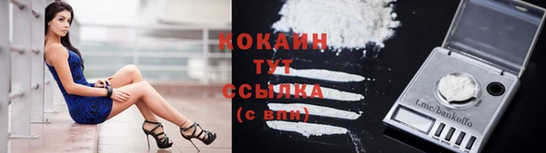 индика Михайлов