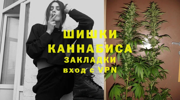тгк Медвежьегорск