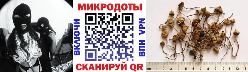 Псилоцибиновые грибы мухоморы  МЕГА   Прохладный 