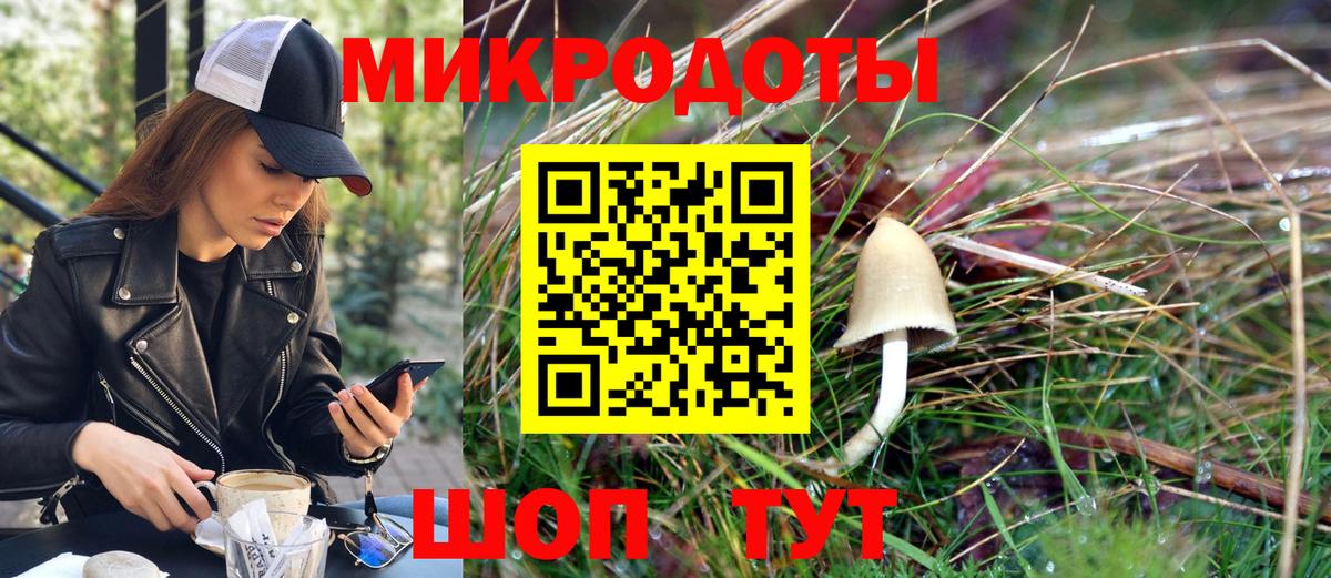 Псилоцибиновые грибы MAGIC MUSHROOMS Прохладный