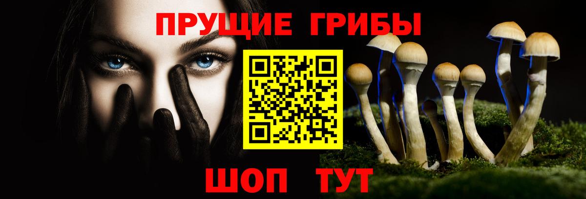 купить  цена  Галлюциногенные грибы прущие грибы  Вход с VPN  Прохладный 